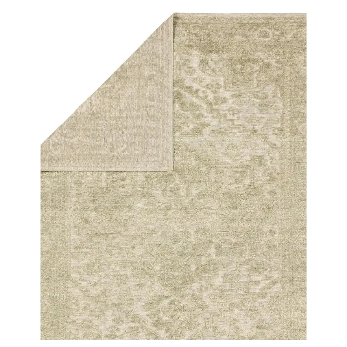 Aposio Pranhita Hand Knotted Rug