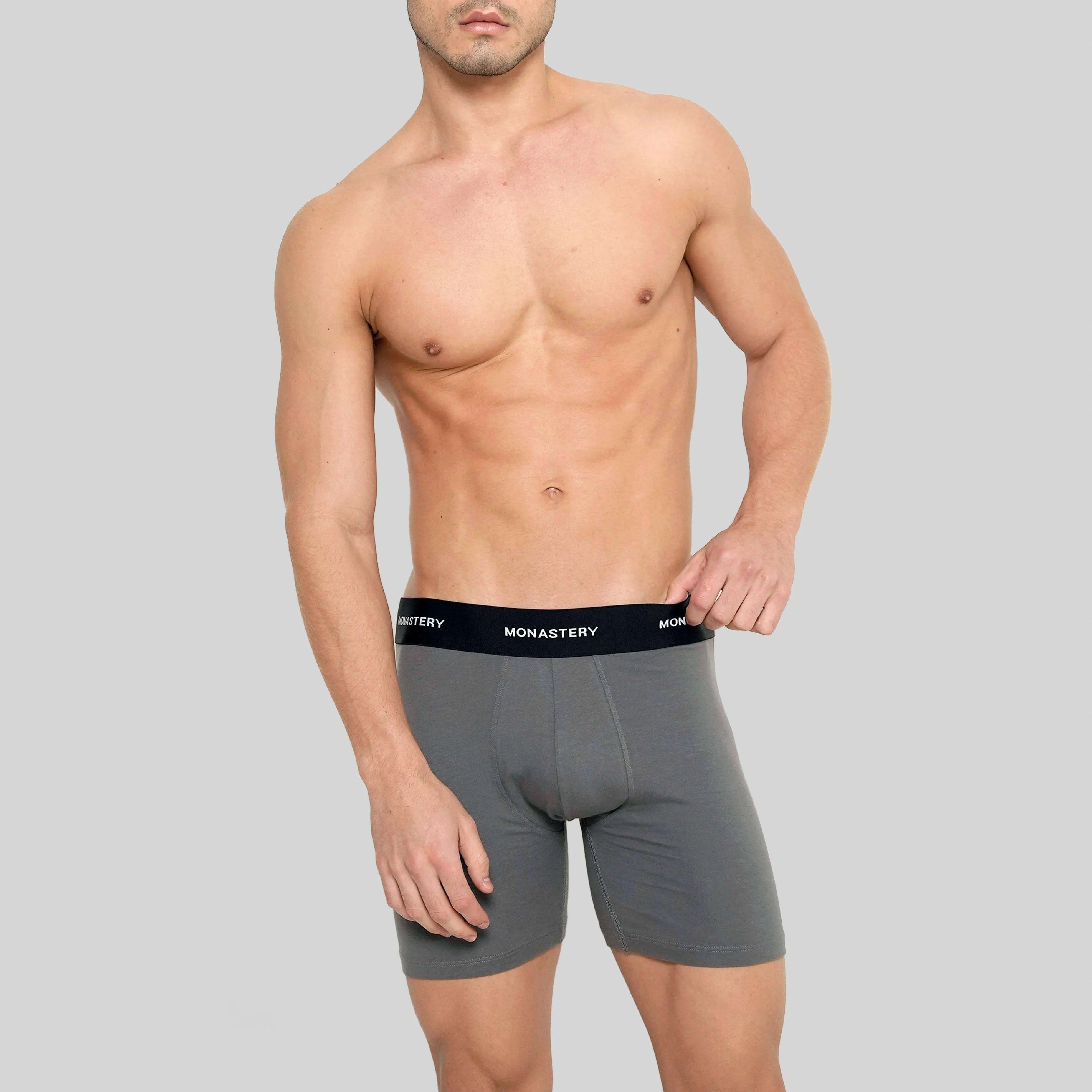 ARNAULD GRAY BOXER BRIEFS