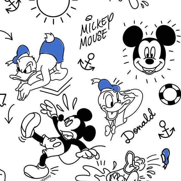 FS766_1 Disney Mickey & Donald