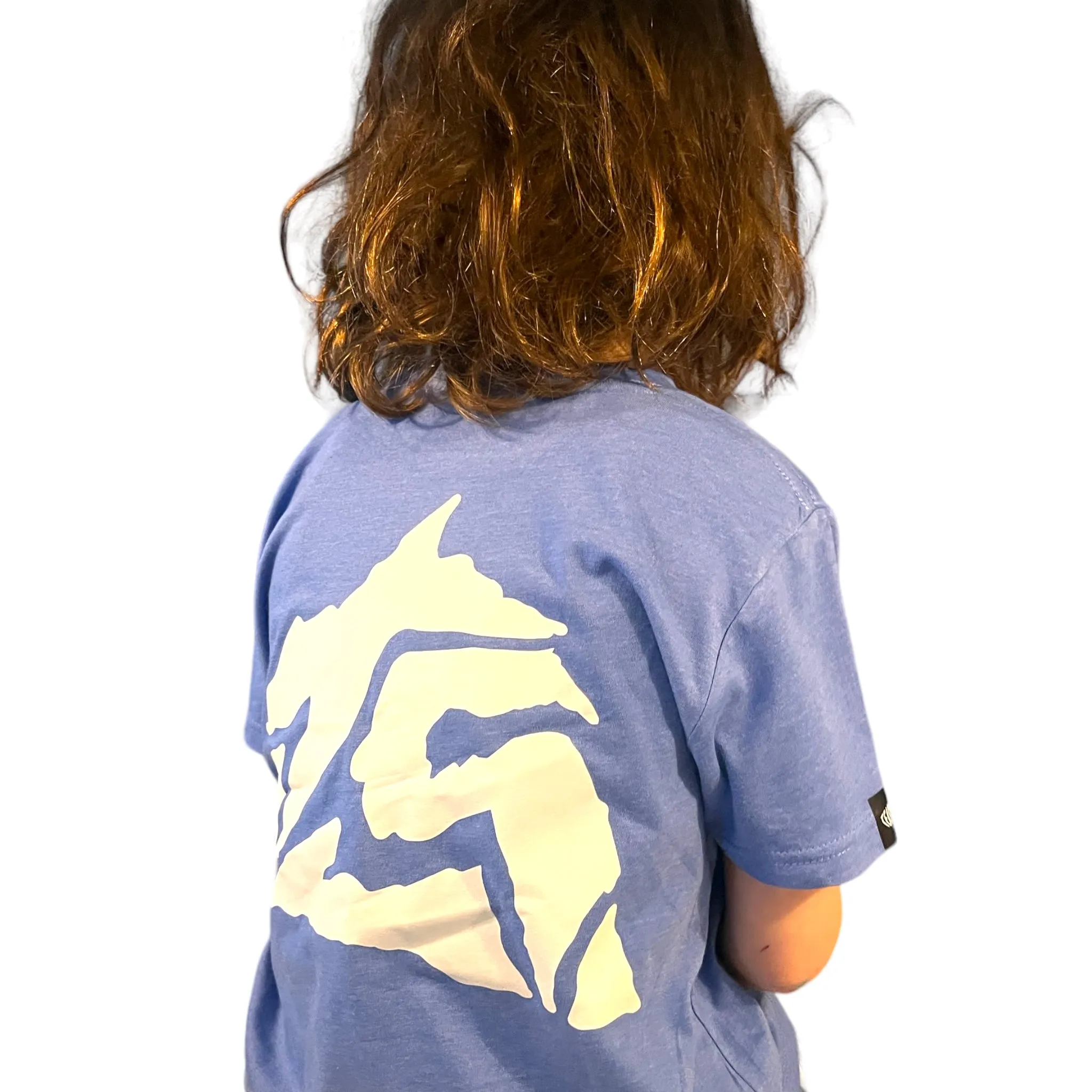 TS Mountains [cotton tee] Heather Blue